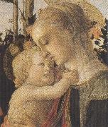Sandro Botticelli Madonna of the Rose Garden or Madonna and Child with St John the Baptist china oil painting artist